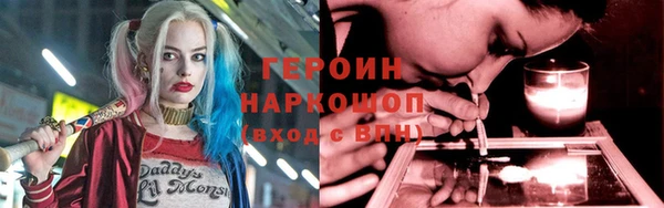 индика Няндома