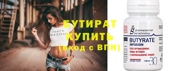 индика Няндома