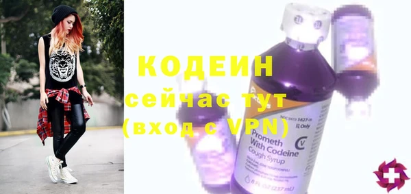 индика Няндома