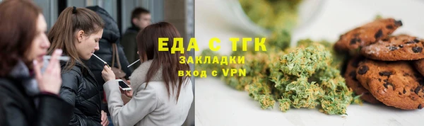 индика Няндома