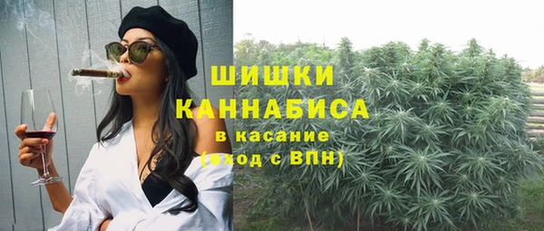 индика Няндома