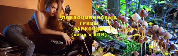 spice Осташков