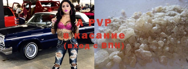 индика Няндома